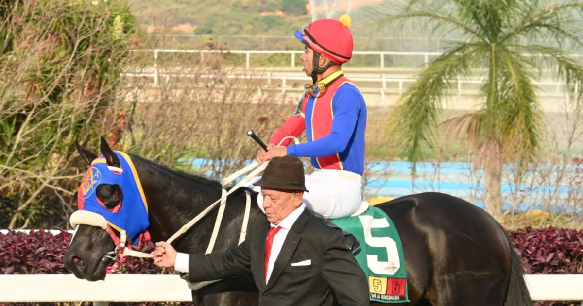 Así como logró uno de los remates sobresalientes este caballo se ...