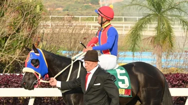 Así como logró uno de los remates sobresalientes este caballo se perfila como uno de los favoritos para el ciclo no válido de la R24