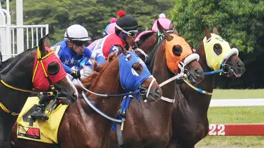 Descubre el ejemplar que se perfila como el "dato de los vivitos" para la tercera válida del 5y6 Descubre el ejemplar que se perfila como el "dato de los vivitos" para la tercera válida del 5y6