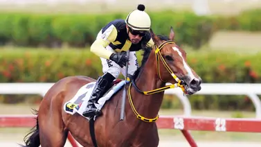 Mira lo que dijo José Alejandro Rivero de Sugar Cane para el Clásico Prensa Hípica Nacional Mira lo que dijo José Alejandro Rivero de Sugar Cane para el Clásico Prensa Hípica Nacional