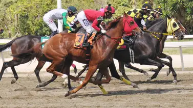 Atención: Te revelamos los purasangres con más fuerza para la R24 de La Rinconada Atención: Te revelamos los purasangres con más fuerza para la R24 de La Rinconada