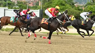 Un video a la vista: Este ejemplar va a un lote cómodo y ahora le suben 200 metros Un video a la vista: Este ejemplar va a un lote cómodo y ahora le suben 200 metros