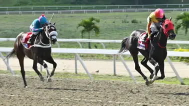 El ajuste de esta potra quedó listo para retar a la principal favorita para el Clásico Prensa Hípica Nacional (G1) El ajuste de esta potra quedó listo para retar a la principal favorita para el Clásico Prensa Hípica Nacional (G1)