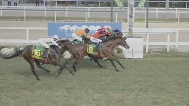 Entérate de los detalles de lo ocurrido en el Gran Premio de Brasil que acarreo severas sanciones Entérate de los detalles de lo ocurrido en el Gran Premio de Brasil que acarreo severas sanciones