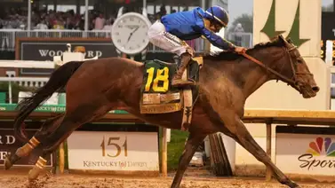 Mira las declaraciones del entrenador de Sovereignty luego de su trabajo con miras a su siguiente salida Mira las declaraciones del entrenador de Sovereignty luego de su trabajo con miras a su siguiente salida