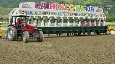 Comisarios de La Rinconada aplican multa a reconocido jinete profesional por incumplimiento de normativa