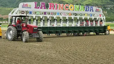 Comisarios de La Rinconada aplican multa a reconocido jinete profesional por incumplimiento de normativa Comisarios de La Rinconada aplican multa a reconocido jinete profesional por incumplimiento de normativa