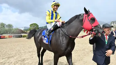 El De Froix quiere hacer suyo otra vez el Clásico Fuerza Armada Nacional Bolivariana (G1) en La Rinconada El De Froix quiere hacer suyo otra vez el Clásico Fuerza Armada Nacional Bolivariana (G1) en La Rinconada