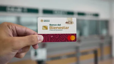 Programas del Bienestar