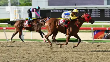 Clásico Cría Nacional (G1) con El Relámpago como principal favorito en recorrido de 1.800 metros Clásico Cría Nacional (G1) con El Relámpago como principal favorito en recorrido de 1.800 metros