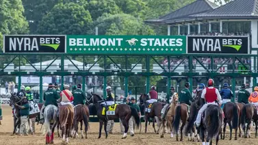 Belmont Stakes: Primer análisis de los nueve corceles para la carrera de los Claveles Blancos Belmont Stakes: Primer análisis de los nueve corceles para la carrera de los Claveles Blancos