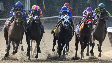 Pensionado de Chad Brown busca su segundo triunfo en el Kingston Stakes de Saratoga Pensionado de Chad Brown busca su segundo triunfo en el Kingston Stakes de Saratoga