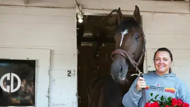 Por la Doble Corona: Golden Tempo ya está en Saratoga para el Belmont Stakes (G1) Por la Doble Corona: Golden Tempo ya está en Saratoga para el Belmont Stakes (G1)