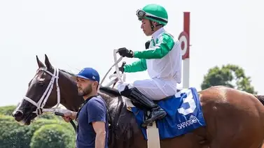 Mythical del entrenador venezolano Jorge Delgado salta como favorita para ganar el Jersey Girl Stakes de $175,000 Mythical del entrenador venezolano Jorge Delgado salta como favorita para ganar el Jersey Girl Stakes de $175,000