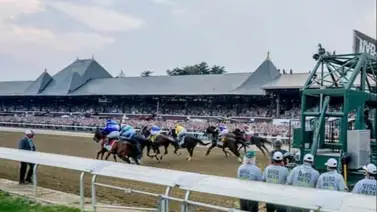 Gratefully pone en juego su invicto en el Intercontinental Stakes (G3) en el Festival Racing Belmont Stakes Gratefully pone en juego su invicto en el Intercontinental Stakes (G3) en el Festival Racing Belmont Stakes