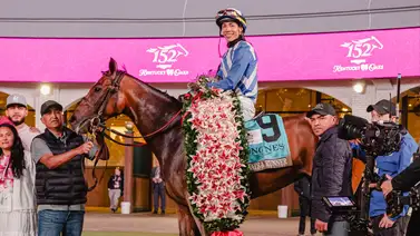 Always a Runner da revancha y defiende su invicto en el Acorn Stakes (G1) con una bolsa de 500 mil dólares Always a Runner da revancha y defiende su invicto en el Acorn Stakes (G1) con una bolsa de 500 mil dólares