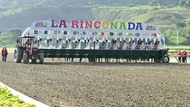 Esta es la nómina del XCVIII Clásico “Hipódromo La Rinconada” (GI) en recorrido de 1.600 metros Esta es la nómina del XCVIII Clásico “Hipódromo La Rinconada” (GI) en recorrido de 1.600 metros