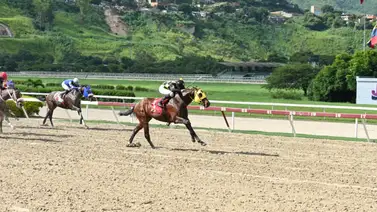 Reaparece producto de un doble coronado el cual tiene 126 días sin competir Reaparece producto de un doble coronado el cual tiene 126 días sin competir