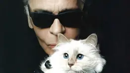 Gata heredera de Karl Lagerfeld sufre las consecuencias de no cobrar su herencia