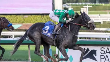 Belmont Stakes: Yegua de intereses venezolanos tiene un hijo en la tercera gema Belmont Stakes: Yegua de intereses venezolanos tiene un hijo en la tercera gema
