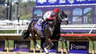 José Francisco D’Angelo a evitar el doblete de Book’em Danno en el True North Stakes (G3) José Francisco D’Angelo a evitar el doblete de Book’em Danno en el True North Stakes (G3)