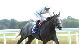 Ag Bullet por la repetida en el Jaipur Stakes (G1) en Saratoga el sábado