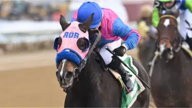 Bernietakescharge gana por segundo año consecutivo el Critical Eye Stakes Bernietakescharge gana por segundo año consecutivo el Critical Eye Stakes