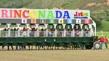 Estén pendiente: Así queda el ajuste de la línea de Gaceta Hípica antes de su debut estelar en el 5y6 dominical Estén pendiente: Así queda el ajuste de la línea de Gaceta Hípica antes de su debut estelar en el 5y6 dominical