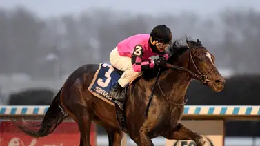 Deterministic busca hacer historia en el Manhattan Stakes (G1) de Saratoga Deterministic busca hacer historia en el Manhattan Stakes (G1) de Saratoga