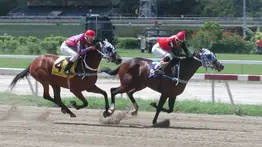 Conozcan los mejores registros en la historia de la milla del Clásico Hipódromo La Rinconada (GI)