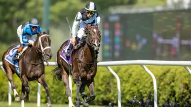 Irad Ortiz Jr. gana de punta a punta con Roja el Intercontinental Stakes (G2) en Saratoga Irad Ortiz Jr. gana de punta a punta con Roja el Intercontinental Stakes (G2) en Saratoga