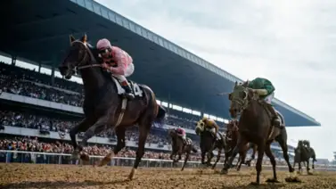 Hace 55 años, Pass Catcher silenció a toda Venezuela con su triunfo en el Belmont Stakes Hace 55 años, Pass Catcher silenció a toda Venezuela con su triunfo en el Belmont Stakes