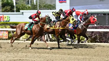 Genética de oro: Tres purasangres descendientes de dos grandes triplecoronados buscarán la gloria en la R24 Genética de oro: Tres purasangres descendientes de dos grandes triplecoronados buscarán la gloria en la R24