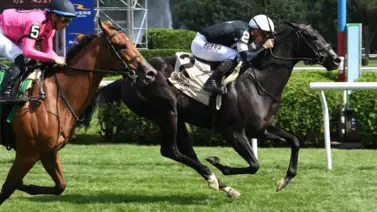 Flavien Prat de 2-2 tras ganar el Wonder Again Stakes (G2) en Saratoga Flavien Prat de 2-2 tras ganar el Wonder Again Stakes (G2) en Saratoga
