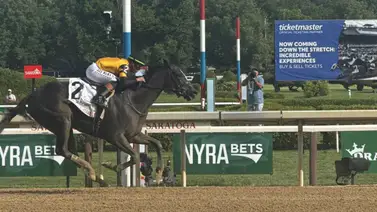 Counting Stars logra su primer G1 en el Acorn Stakes en Saratoga Counting Stars logra su primer G1 en el Acorn Stakes en Saratoga