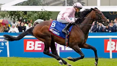¡Hazaña en Epsom! Christmas Day emula a su padre Camelot y consagra a Ronan Whelan en el Derby Inglés ¡Hazaña en Epsom! Christmas Day emula a su padre Camelot y consagra a Ronan Whelan en el Derby Inglés
