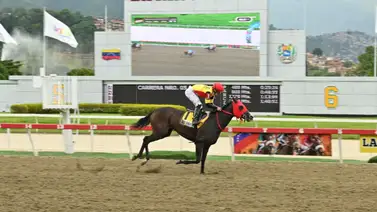 Por clamor popular: El De Froix será el primer semental de la campeona Fast Sensations Por clamor popular: El De Froix será el primer semental de la campeona Fast Sensations