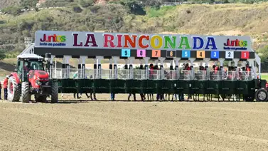 ¡Monarca de los aciertos! Gaceta Hípica mandó en la jornada dominical de La Rinconada ¡Monarca de los aciertos! Gaceta Hípica mandó en la jornada dominical de La Rinconada