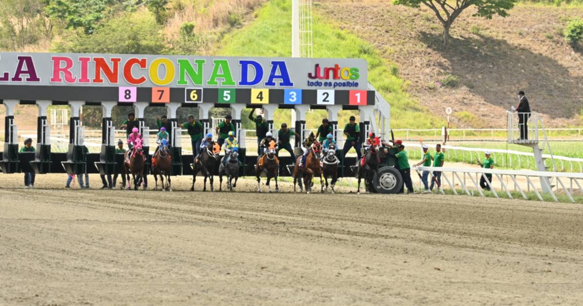 El Clásico Hipódromo La Rinconada genera una multa a este jockey en la R24