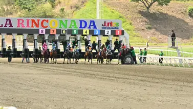 El Clásico Hipódromo La Rinconada genera una multa a este jockey en la R24 El Clásico Hipódromo La Rinconada genera una multa a este jockey en la R24