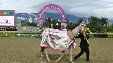 Más allá del triunfo: Entérate del histórico secreto que guardaba la gualdrapa de la campeona Mora Linda Más allá del triunfo: Entérate del histórico secreto que guardaba la gualdrapa de la campeona Mora Linda