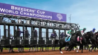 Conoce a los nuevos cuatro ejemplares que se ganan su cupo a las Breeders’ Cup Conoce a los nuevos cuatro ejemplares que se ganan su cupo a las Breeders’ Cup