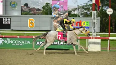 Mora Linda es apenas la segunda tordilla en ganar el Clásico Hipódromo La Rinconada en el siglo XXI Mora Linda es apenas la segunda tordilla en ganar el Clásico Hipódromo La Rinconada en el siglo XXI