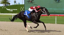Samy Camacho es el primer jockey en alcanzar las 50 victorias en el Royal Palm Meet en Gulfstream Park