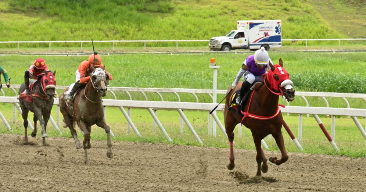 Poder en La Rinconada: Descubre qué Haras logró doblete en la R24 y ...
