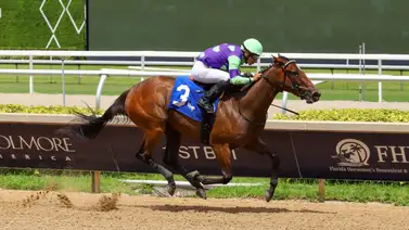 Combinación venezolana hace saltar la banca en Gulfstream Park Combinación venezolana hace saltar la banca en Gulfstream Park