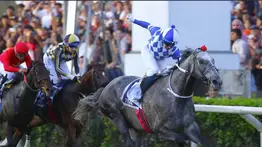 Histórico: Ganador del Gran Premio Latinoamericano (Gr1) es invitado a la Japan Cup (G1) 2026