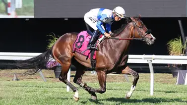 Paco López acecha las 4.500 victorias en Estados Unidos tras brillar en Parx Racing Paco López acecha las 4.500 victorias en Estados Unidos tras brillar en Parx Racing