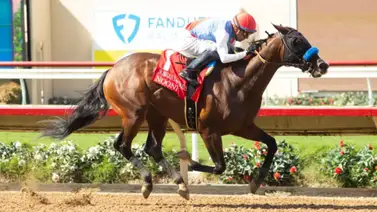 Nooni de Bob Baffert lista para ganar el Desert Stormer Stakes después de casi dos años sin competir Nooni de Bob Baffert lista para ganar el Desert Stormer Stakes después de casi dos años sin competir