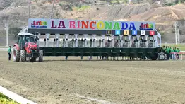 Un monarca de grado I rompe el ayuno de 119 días y asume el reto de los 1.800 metros este domingo en La Rinconada
